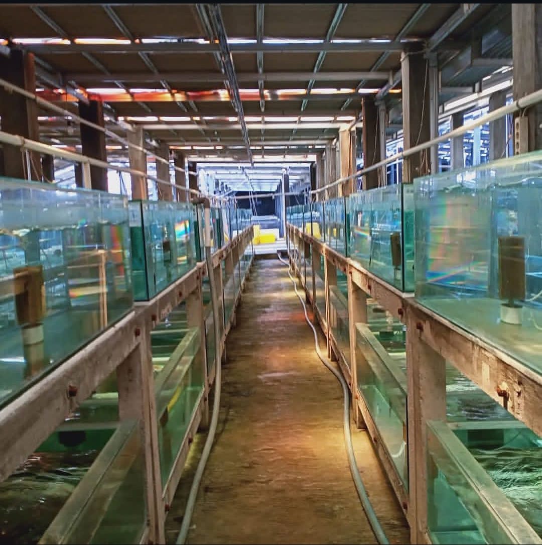 Our Farm 11