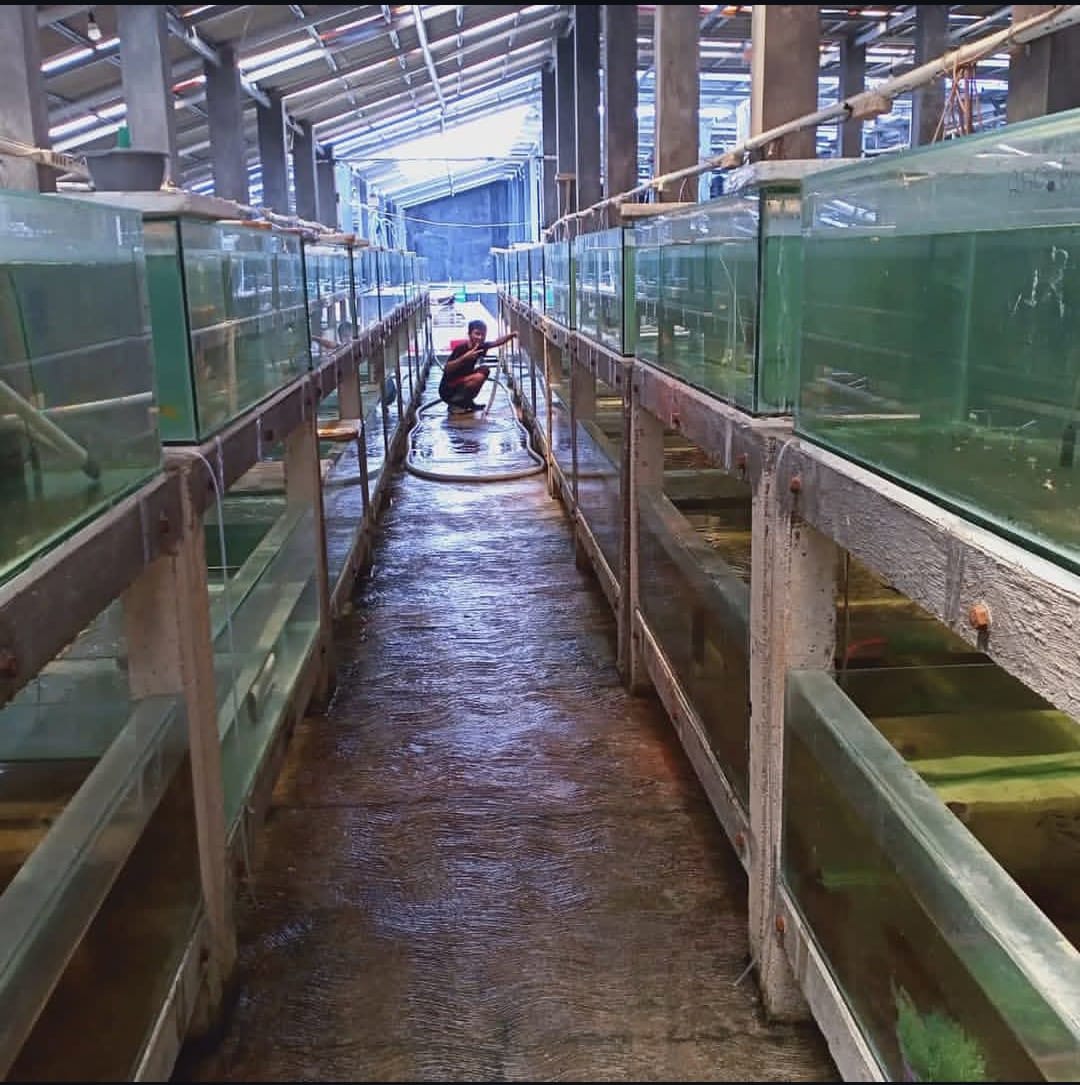 Our Farm 21