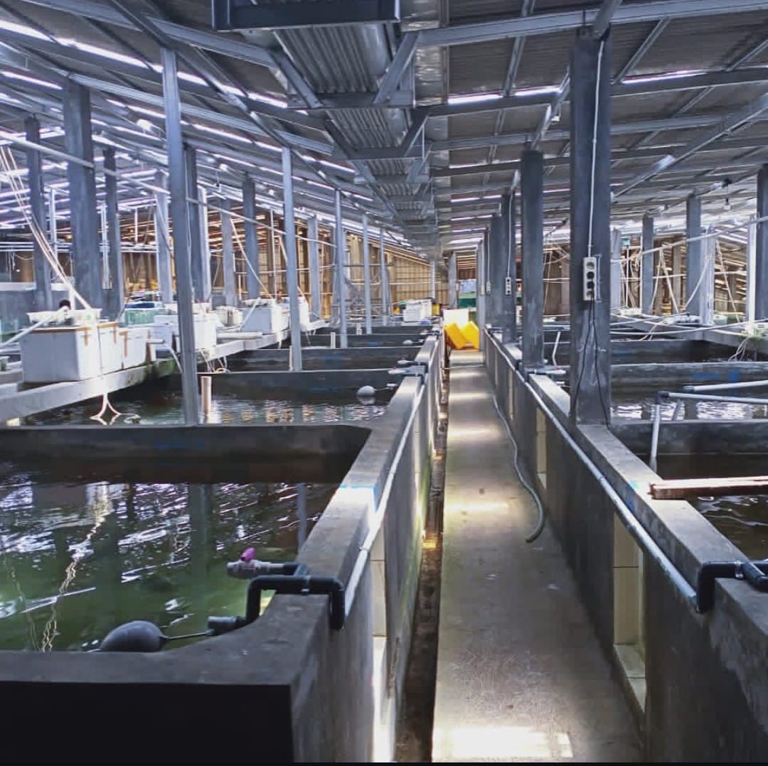 Our Farm 22