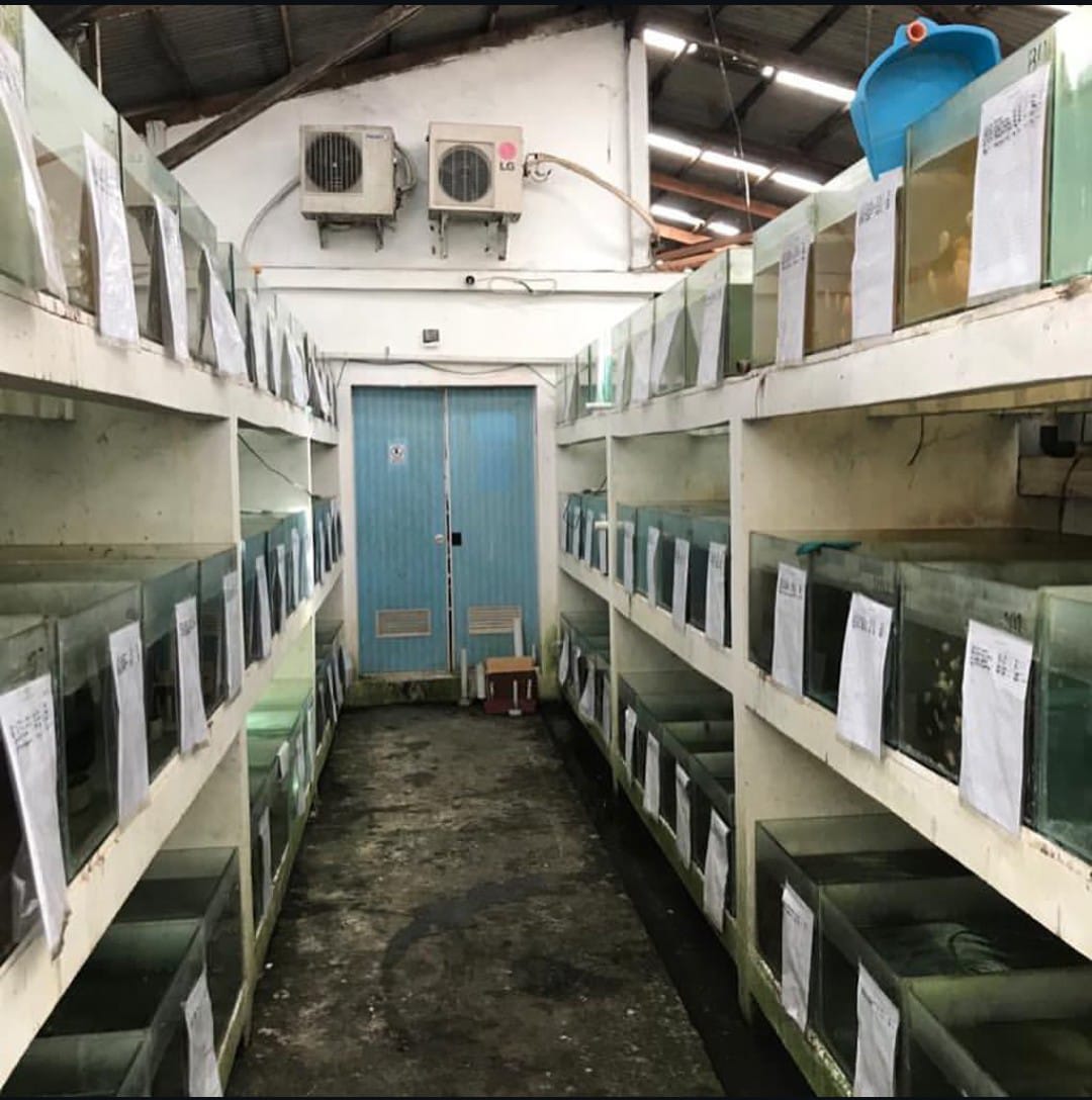 Our Farm 32
