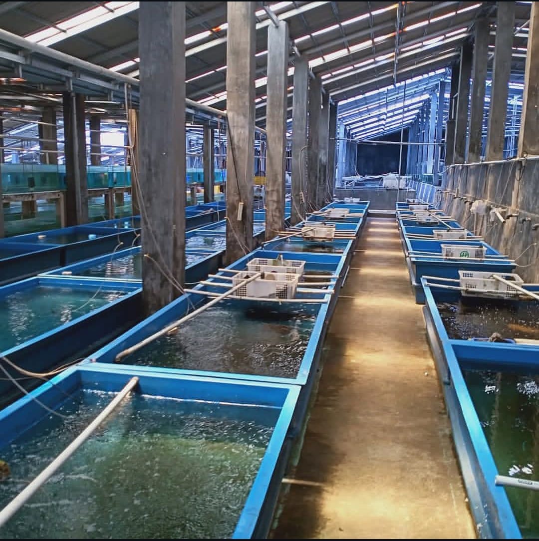 Our Farm 8
