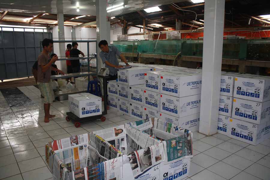 Packaging Process 5